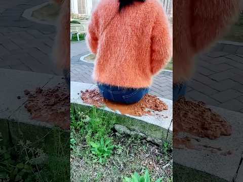 😨🤯😲Alibaba Gadgets! Tool Items, New Gadgets, Smart Kitchen Appliances, Home Cleaning😨Inventions