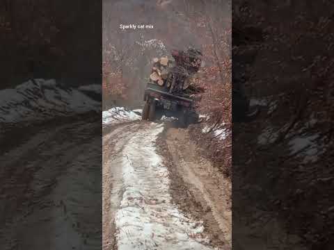 The Rear wheels fell into the mud...can be Turned