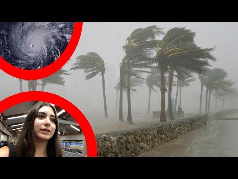ESCAPING THE HAWAII HURRICANE | Nicolette Gray