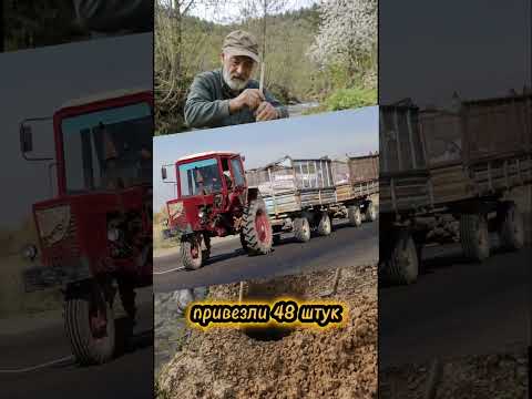 Построил мост из шпал в деревне своими руками