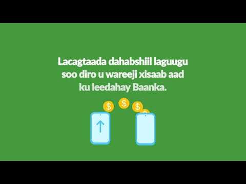 dowladda  Federaalka Soomaaliya oo xayiraad dhanka hawada ah kusoo rogtay degmooyin ka tirsan..