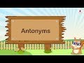 Exploring Antonyms for Grade 3