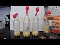 Exploring Yeast Balloon Experiment Concepts