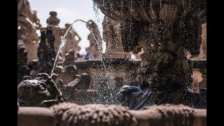 kleines Galakonzert Antonio Vivaldi "Die Vier Jahreszeiten" aus dem Dresdner Zwinger