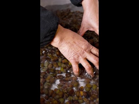 Today's food teaching, grandma taught everyone to make pickled bean snail meat# this is my rural li