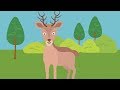 Exploring Ecosystems Through Song