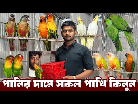 বাচ্চা পাখির দামে রানিং পাখি কিনুন | যে অফার কেউ দিবে না | পানির দামে পাখি কিনুন।