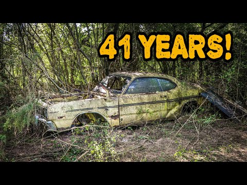 ABANDONED Dart Rescued and First Wash After 41 Years!