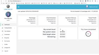 Hướng Dẫn Kiếm Tiền Từ Phát Triển Hệ Thống Link Value   #10