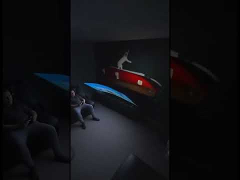 "The Titanic 2" #funnycats