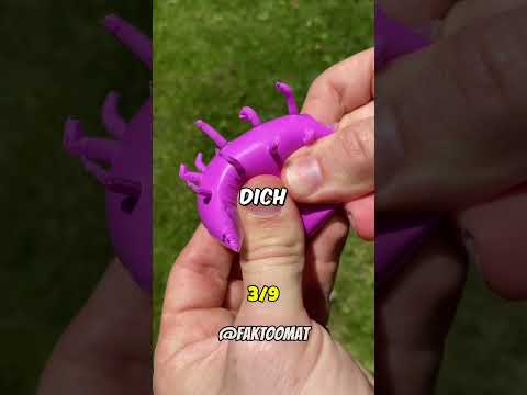 Bist du ein Psychopath?