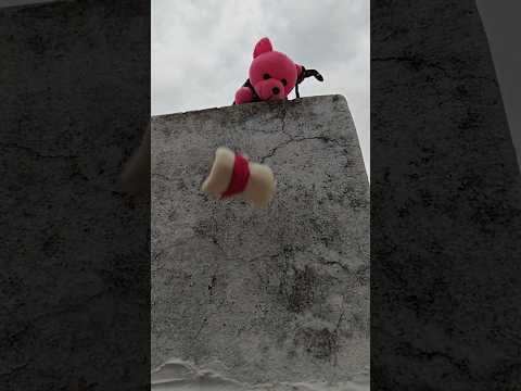 माँ सबसे बड़ी योद्धा है!! लड्डू को माँ ने बचाया #viral #love #teddy #cartoon #cute