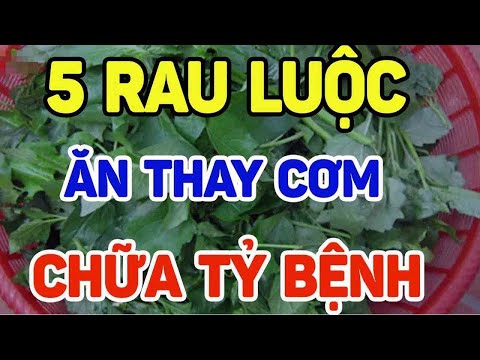 BÁC SĨ MÁCH BẠN 5 LOẠI RAU LUỘC ĂN BỮA TỐI CHỮA TỶ BỆNH