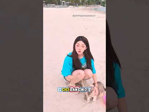"Berburu Mutiara, Malah Ketemu Gurita & Misteri di Hutan!"#shorts#kucing
