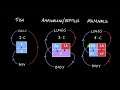 Circulatory Systems in Vertebrates