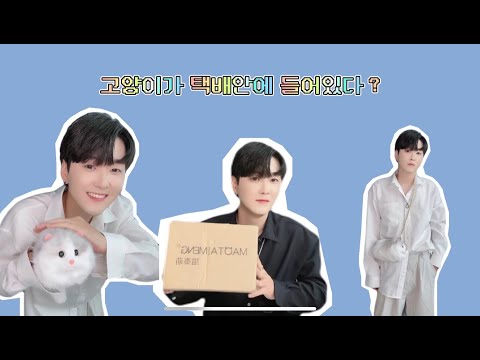 택배가 왔는데 고양이가 들어있다 ??