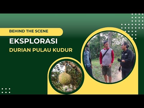 BTS EKSPLORASI DURIAN KE PULAU KUNDUR KUNDUR #1