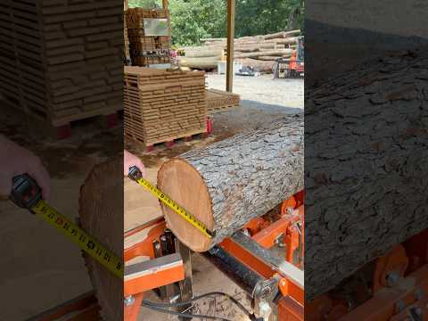 What’s it Worth? Small Log on the Sawmill