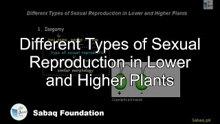Different Types of Sexual Reproduction in Lower and Higher Plants