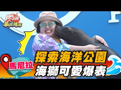 【馬尼拉】探索海洋公園 俏皮海獅可愛爆表【食尚玩家瘋狂總部】20230223(2/4)