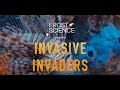 Invasive Species and Conservation Efforts