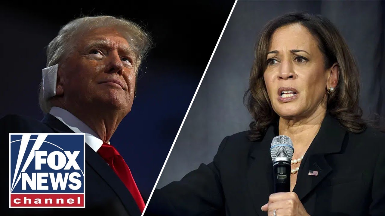 Ari Fleischer scolds Democrats comparing their opponents to ‘fascists’ and ‘Nazis’