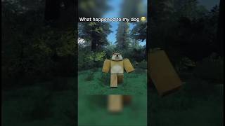 Someone stole my dog in Roblox 😭
