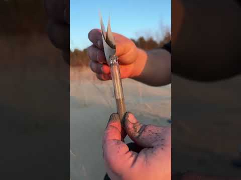 Magnet trick to Make money while traveling #shorts