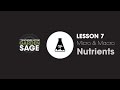 Micronutrient Deficiencies in Plants