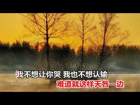 王強   不想讓你哭 MTV