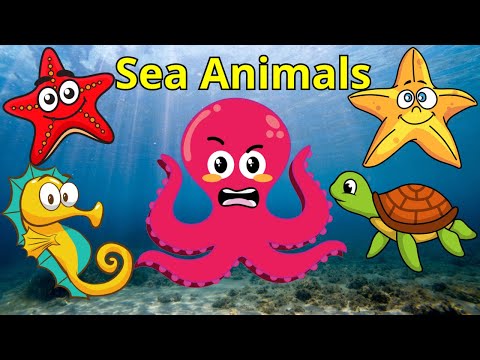 Learn Sea Animal Names: Fun Ocean Puzzles for Kids 🌊🐬