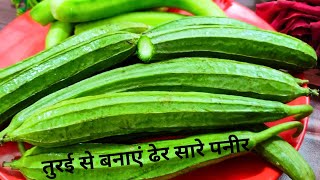 बिना किसी झंझट के तुरई से बनाएं ढेर सारे पनीर गारंटी है हफ्ते में 4 दिन खाएंगे। turai se paneer