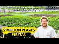 Dutch Touch Plant Operations and Strategies