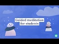 Meditation Practices and Insights