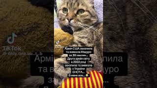 #відеодня #врек #знову #українськийютуб #memes #українськийблогер #news