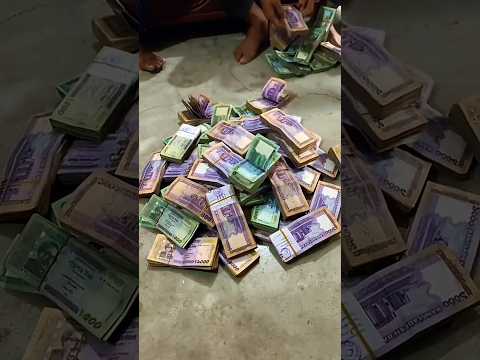 ৪ বছরে ইটালি থেকে কতো টাকা ইনকাম করলাম?