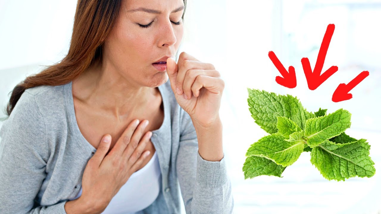 Chew This Leaf To Clear Your Throat And Stop Coughing￼