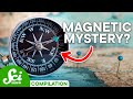 Magnetic Fields and Their Impact