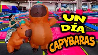 24 HORAS SIENDO CAPIBARAS | Ana Emilia