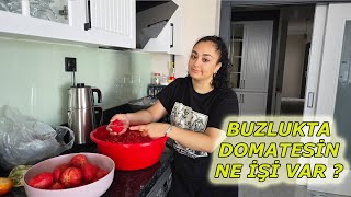 KIŞ HAZIRLIĞI SÜHEYLA İSYANLARDA