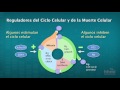 Cuestionario sobre la secuenciación del ADN y el cáncer