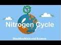 Exploring the Nitrogen Cycle: Key Processes and Concepts