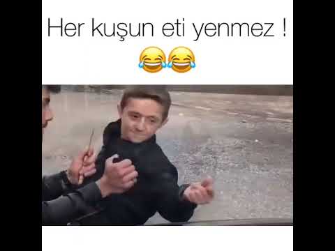 Emre Gül Vine #2