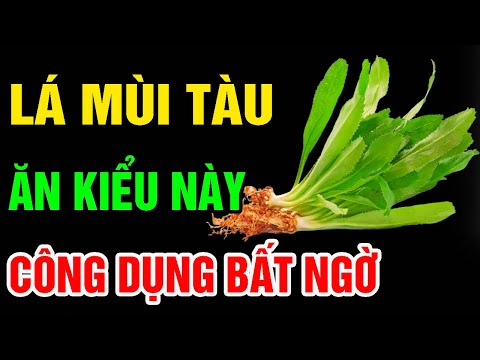 1 Nắm LÁ MÙI TÀU Ăn Cùng Thứ Này Về Già KHỎE MẠNH, Cơ Thể DẺO DAI SỐNG THỌ HƠN