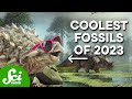Fossil Discoveries of 2023