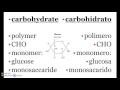 Biomolecules Vocabulary in English and Spanish