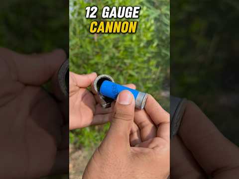 Cannon shotgun #ammofever #firearmphotography