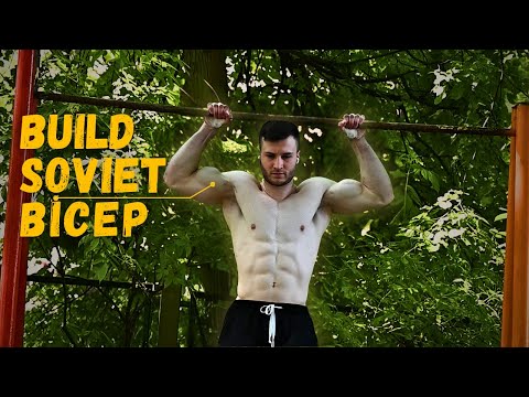How to Get Bigger Biceps with Calisthenics (No Gym Needed)