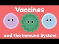 Understanding Vaccines and Immunity