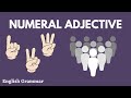 Types of Numeral Adjectives